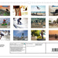 Skater. Skateboarding-Impressionen Kalender 2025 - Wandkalender 2025