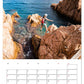 Outdoor-Stille Momente Kalender 2025 - Wandkalender 2025