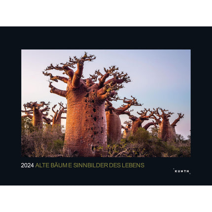 Alte Bäume. Sinnbilder des Lebens 2024