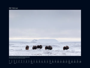 Silber 2025 - Wandkalender 2025