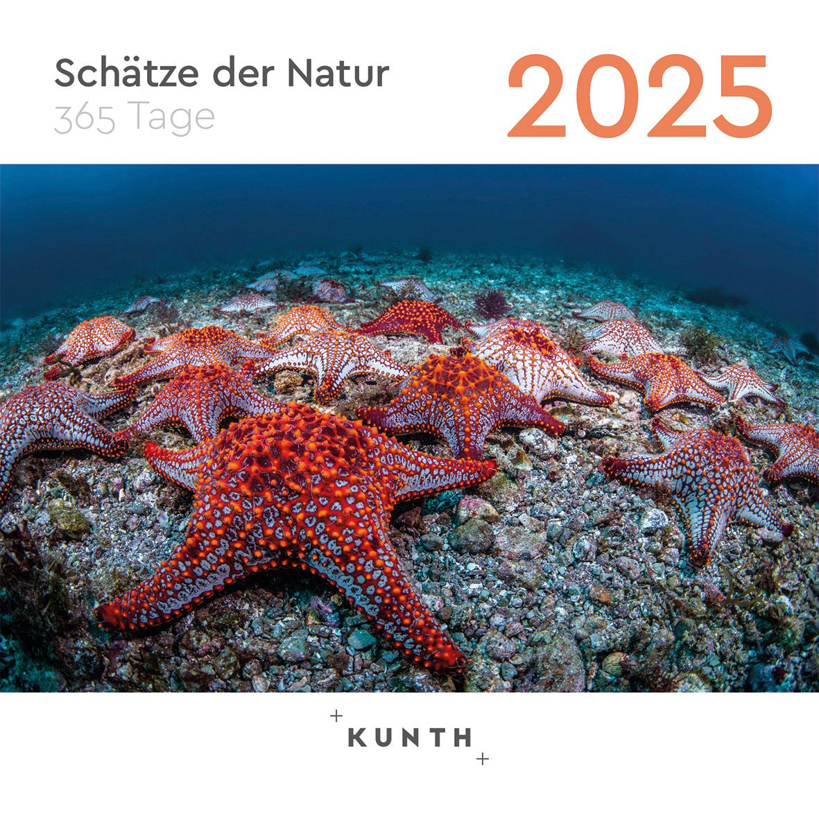 Abreißkalender Schätze der Natur 2025 - Tagesabreißkalender 2025