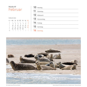 Postkartenkalender Nordseeküste 2025 - Wochenabreißkalender 2025