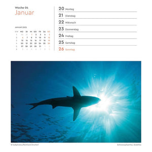 Postkartenkalender Perspektivwechsel 2025