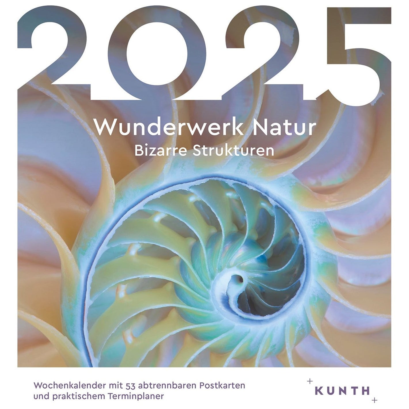 Postkartenkalender Wunderwerk Natur (UT: Bizarre Strukturen) - Wochenabreißkalender 2025