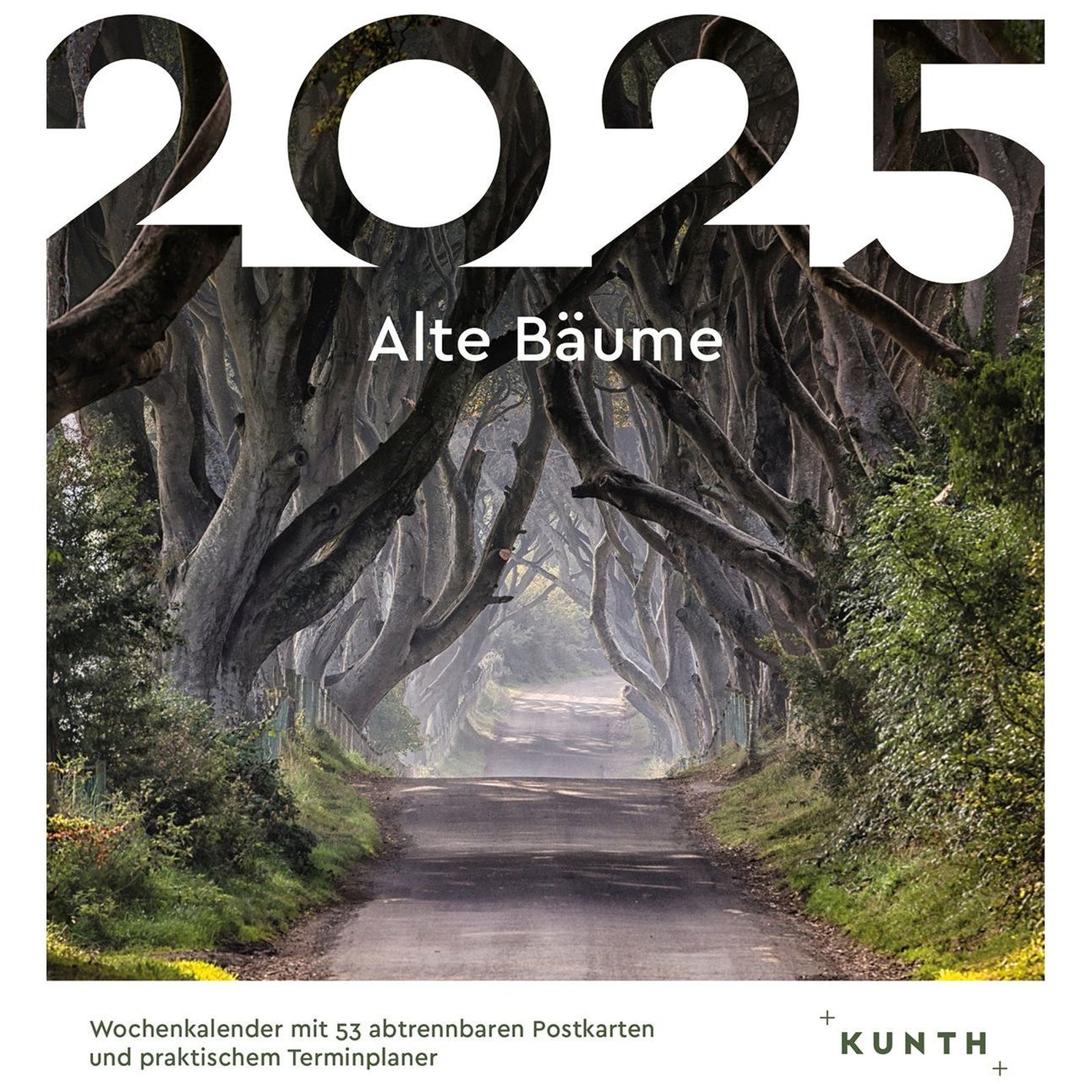 Postkartenkalender Alte Bäume - Wochenabreißkalender 2025