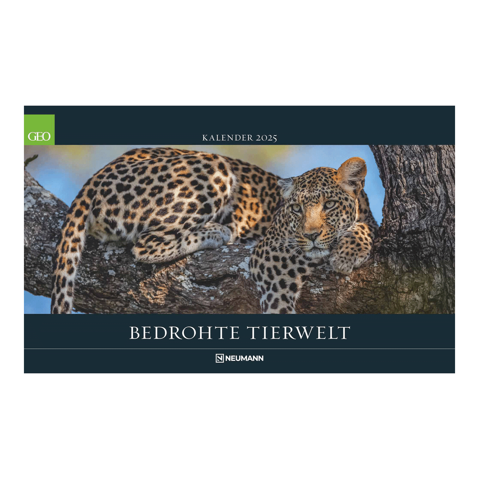 Hochwertige GEO-Kalender 2025 online kaufen bei KalenderSale.de