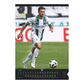 Borussia Mönchengladbach 2025 - Wandkalender 2025