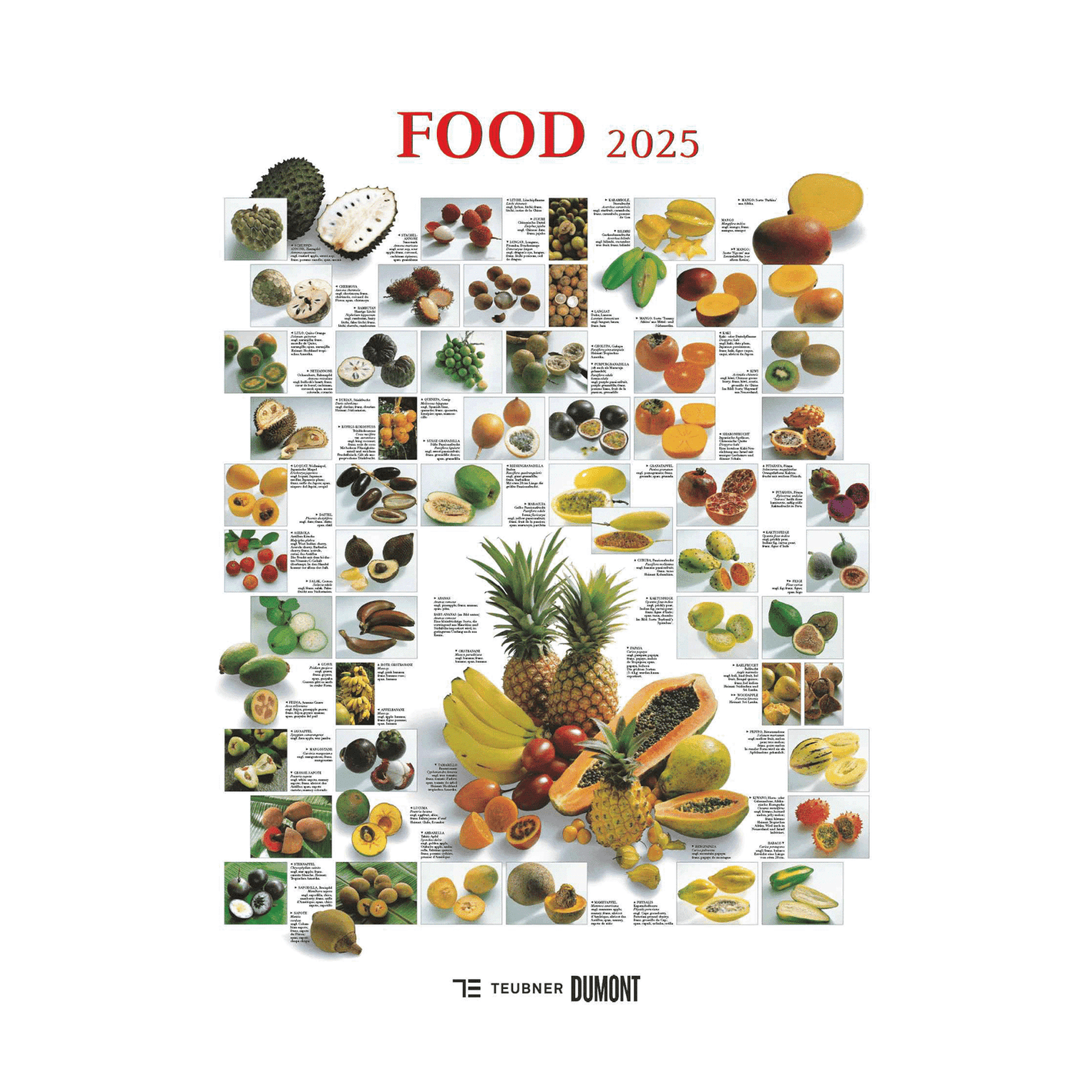 Food Kalender 2025 - Wandkalender 2025