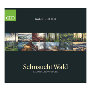 GEO Kalender: Sehnsucht Wald 2025