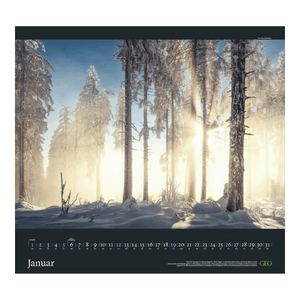 GEO Kalender: Sehnsucht Wald 2025