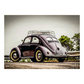 VW Käfer Kalender - 70 x 50 cm 2025